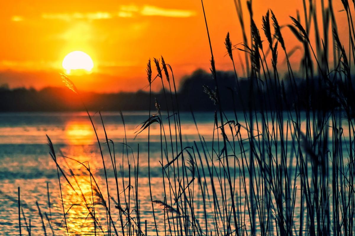 lake-696098 1280 | Foto: https://pixabay.com/de/photos/see-schilf-sonnenuntergang-696098/ lake-696098 1280 | Foto: https://pixabay.com/de/photos/see-schilf-sonnenuntergang-696098/