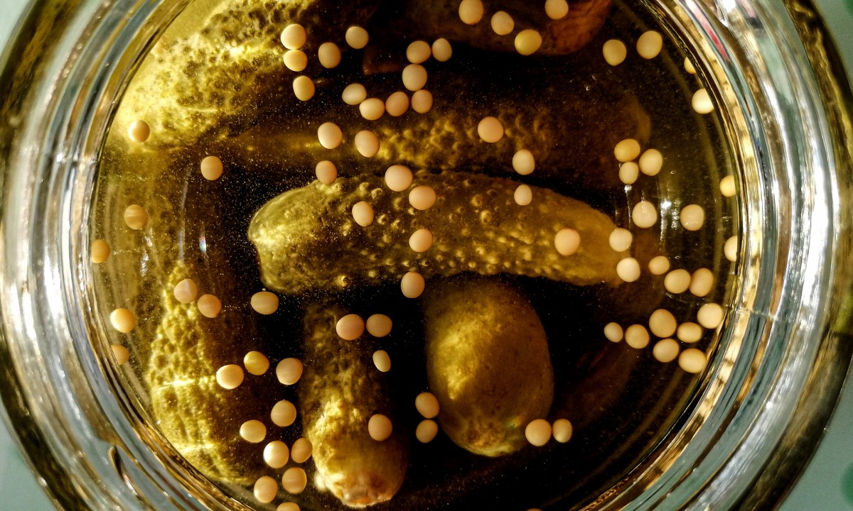 pickles-4788934 1920 pickles-4788934 1920