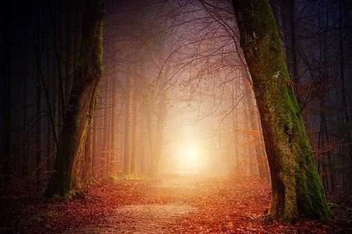 nature-3151869 340 | Foto: https://cdn.pixabay.com/photo/2018/02/13/23/41/nature-3151869__340.jpg nature-3151869 340 | Foto: https://cdn.pixabay.com/photo/2018/02/13/23/41/nature-3151869__340.jpg